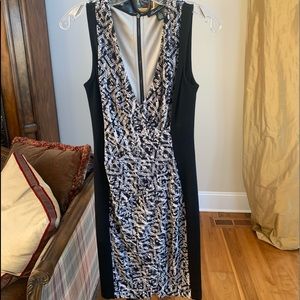 Stunning Fitted Dress. NWOT